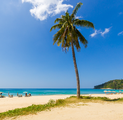 httpselements.envato.comkaron-beach-in-phuket-island-ZBUGFND.jpg