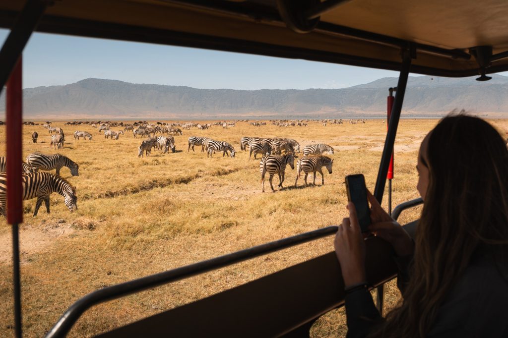 Tourist taking pictures of zebras in ngorongoro crater, tanzania, africa
