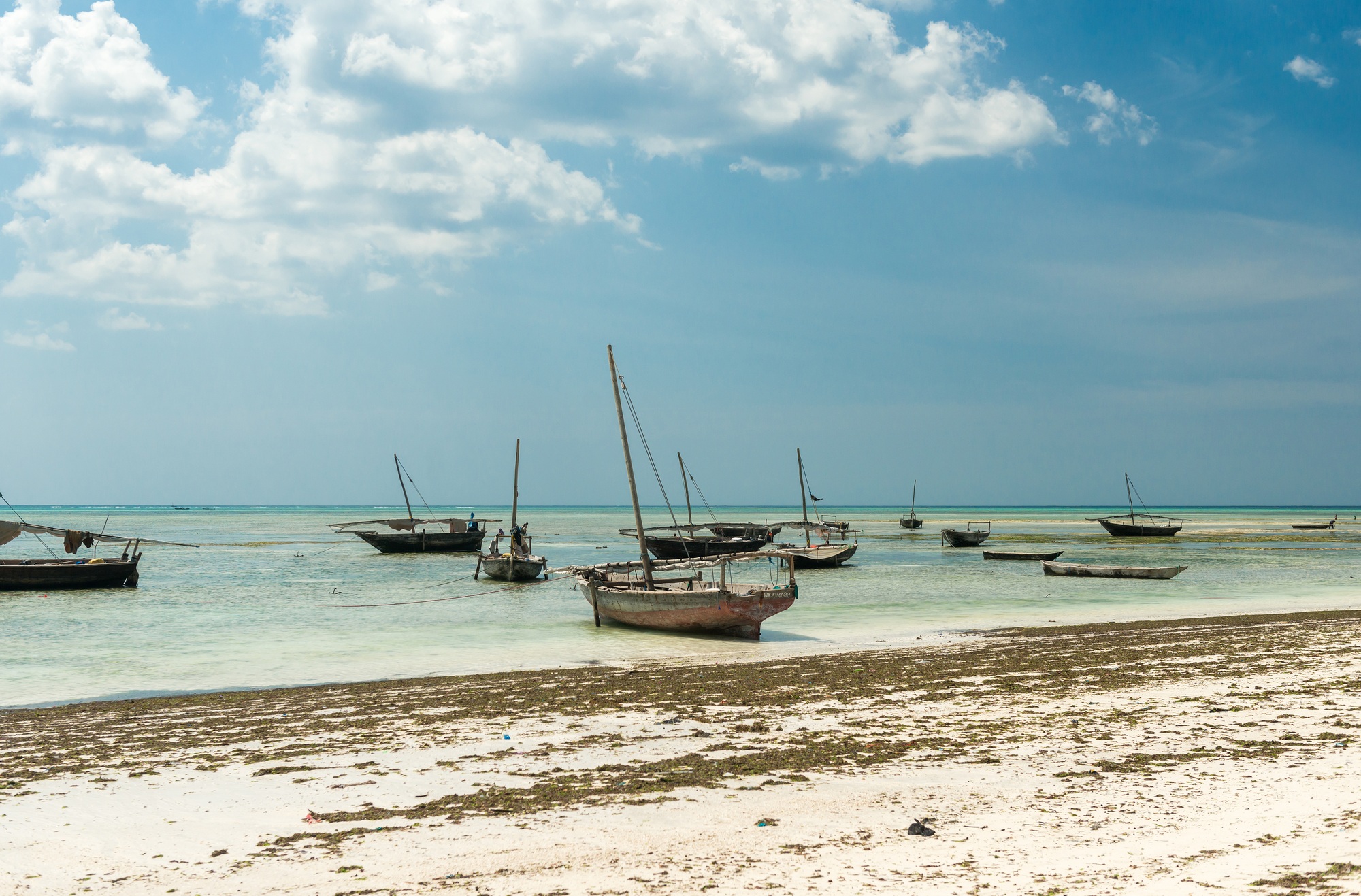 landscape with fishing boats on the shore, Zanzibar