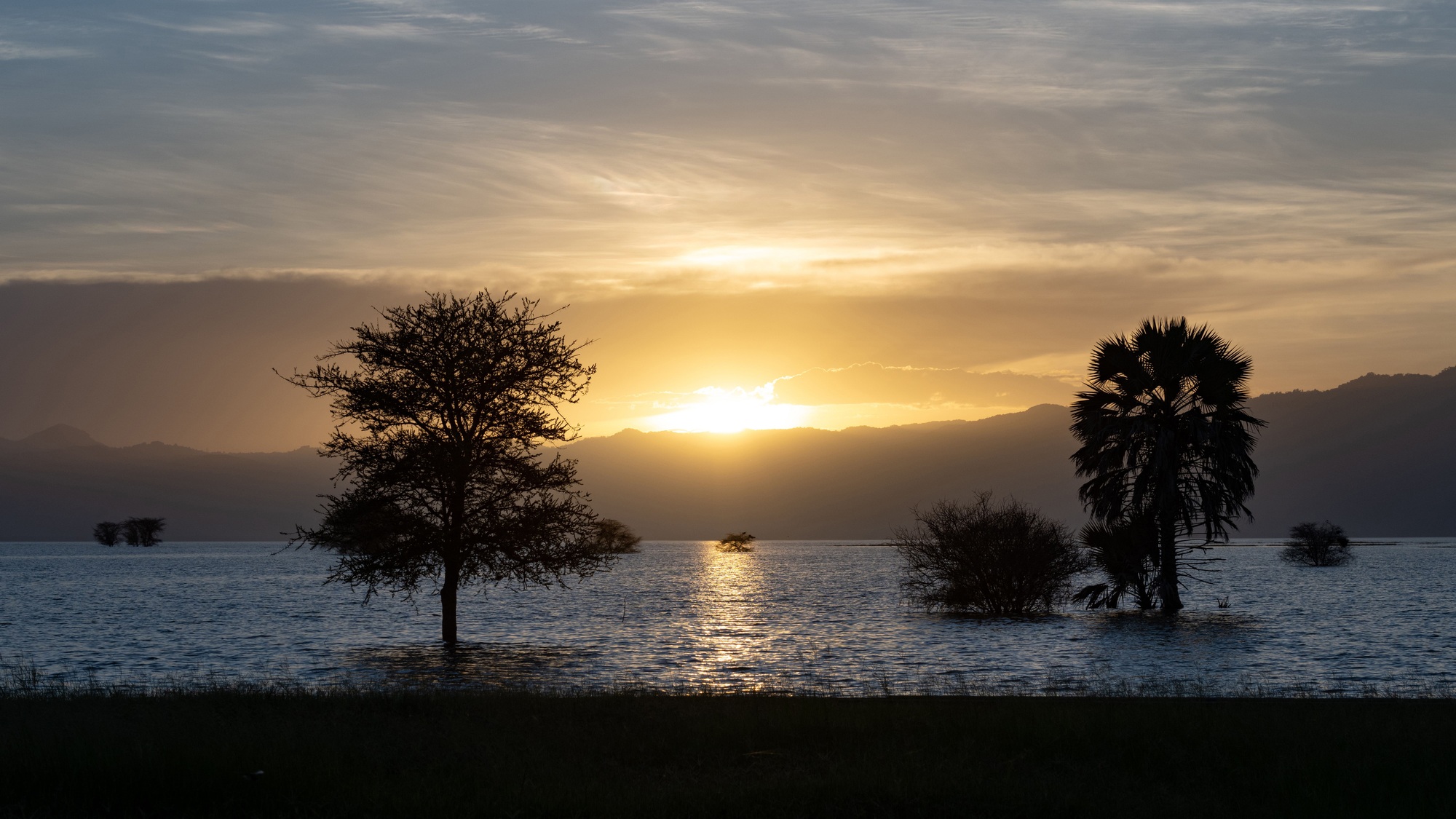 Panoramic shot of Manyara Lake with silhouettes of trees in it and sunset on the background