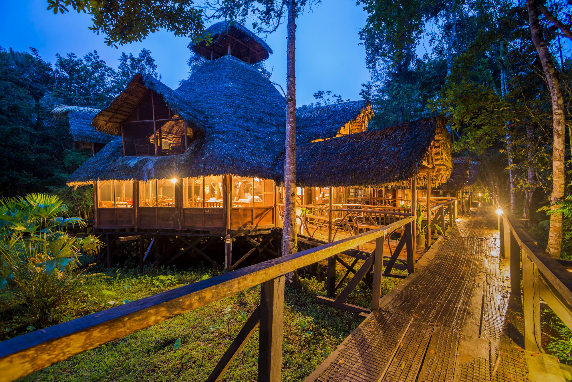 Sacha Lodge, an Amazon Rainforest lodge near Coca in Euador, South America