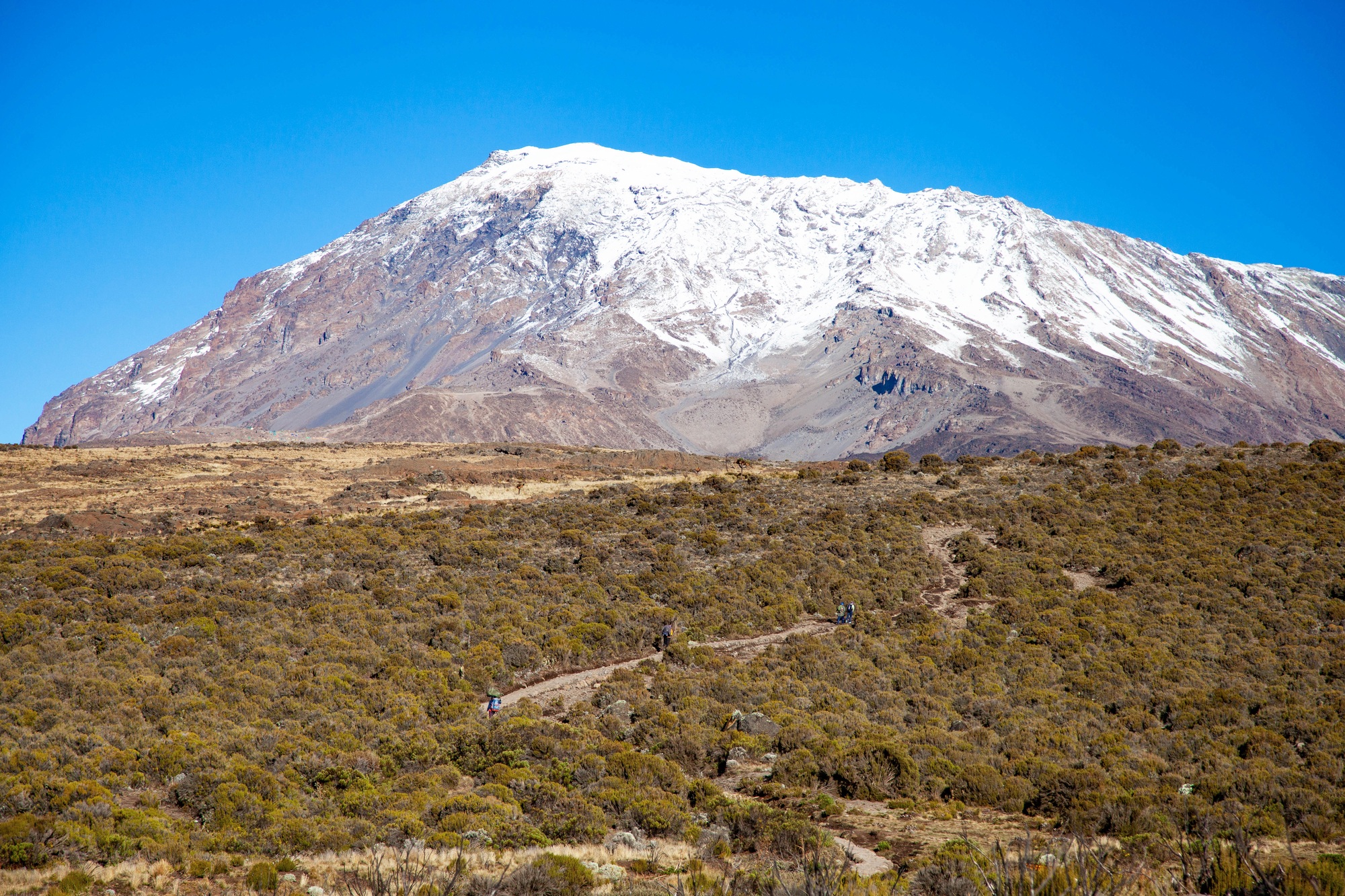 Snow on top of Mount Kilimanjaro