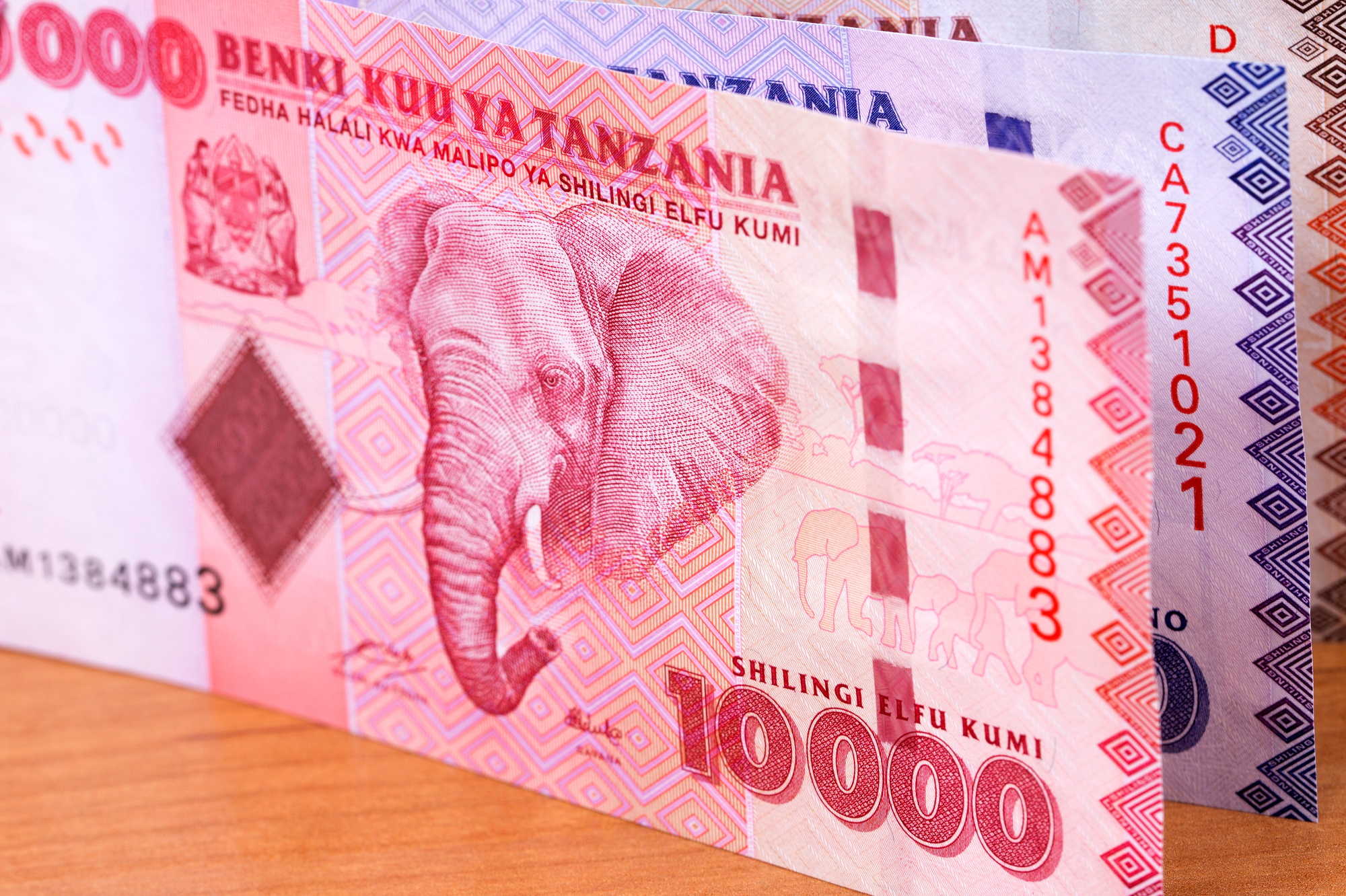 Tanzanian money a business background
