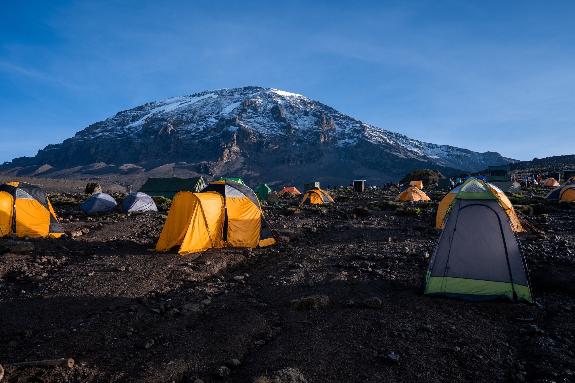 Tents in a camping site near Kilimanjaro mountain in Tanzania